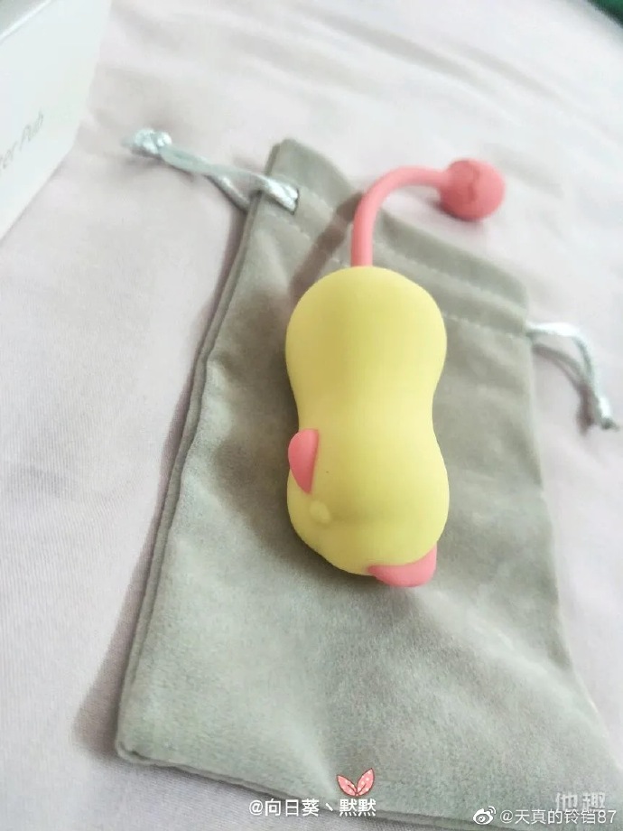 ไข่สั่นไร้สายGIGI GGA94